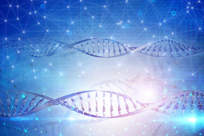 知識產(chǎn)權(quán)