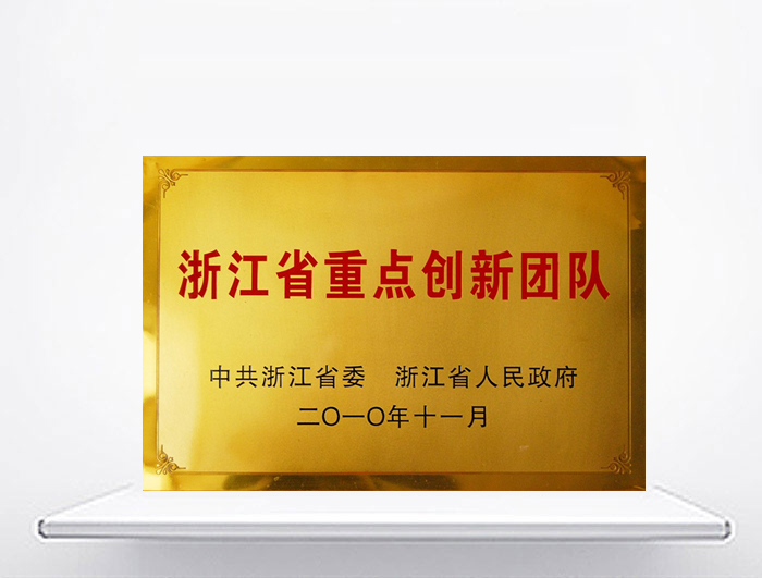 浙江省重點創(chuàng)新團隊